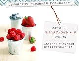 二季なり ラズベリー マリングデュライトレッド ポット苗 果樹苗木 果樹苗 キイチゴ 苗 強健 初心者おすすめ 新品種 果物