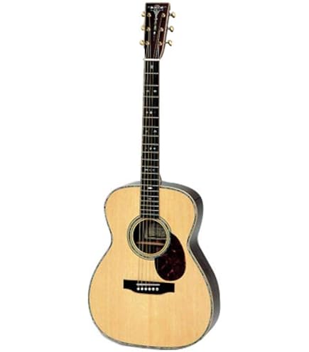 ASTURIAS アストリアス　E C Standard アコースティックギター 160364.jpg
