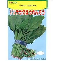 ほうれんそうページ Amazon.co.jp: Salad Spinach, Tokita Spinach Seeds : DIY