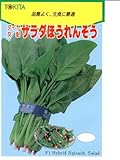 サラダほうれんそう　トキタのほうれん草種です
