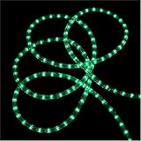 Sienna Green Indoor/Outdoor Christmas Rope Lights 18'【クリスマス】【オーナメント】 [並行輸入品]