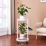 LXLA- アイロンフラワーポットスタンドはどこでも動くことができますフロアスタンド鉢植えプラントラックブラックリビングルームマルチレイヤープランターディスプレイシェルフバルコニー屋内 (色 : 白,