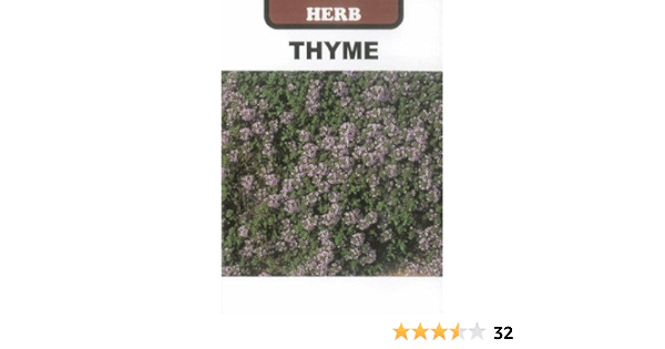 Amazon 輸入種子 Thyme クリーピングタイム ハーブ ハーブ
