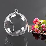 Zyary（TM）ガラスの花植物の花瓶がホルダーテラリウムコンテナスタンドハンギング2個さ8cm