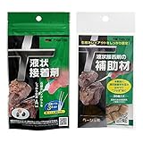 カミハタ 液状接着剤用 補助剤 ベージュ ２０個入＆液状接着剤 ２０ｇ 流木 石 接着