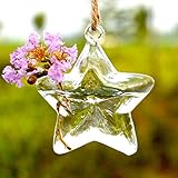 amzmonnsuta　ガーデン 星形ぶら下げ ガラス花瓶 　花水耕植物容器 プレゼント 結婚式/ 家/オフィスに良い装飾！