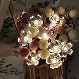ER CHEN(TM) Battery Operated Indoor and Outdoor 60 LED Sakura Flower Fairy Lights on 22ft PVC string
