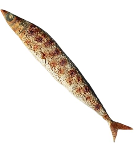 【まいづる食品サンプル】魚　本物そっくり まいづる食品サンプル】魚 本物そっくり