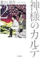 神様のカルテ2 (小学館文庫)