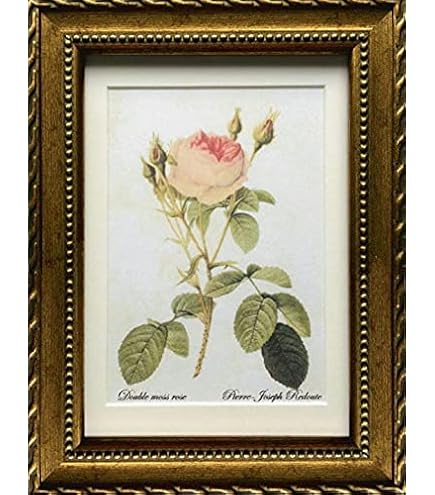 Amazon.co.jp: ジミー大西 油彩画 肉筆保証 肉筆サイン F4サイズ 額装