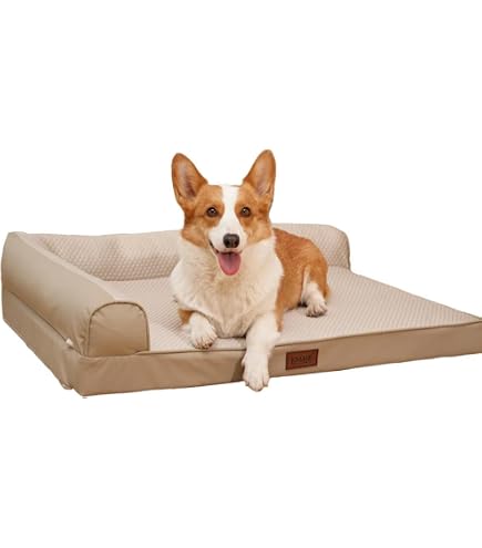 Amazon | INULABO (イヌラボ) 犬 ベッド ペットベッド クッション