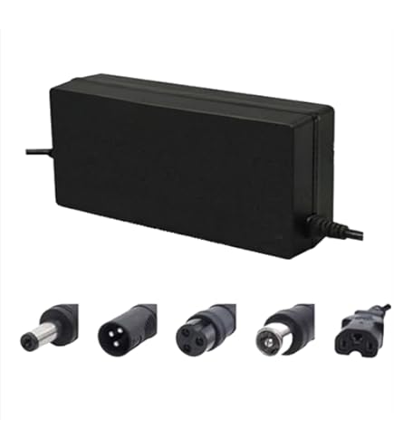 R8 バランススクーター / 黒 / 充電器 6.5Inch 電動バランススクーター用充電器 : Sunpie - 通販 - Yahoo