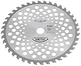 バクマ チップソー軽量ビスタ2枚組 255x40P