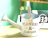 ShopXJ 多肉 植物 寄せ植え サボテン ガーデニング フラワーアレンジメント ブリキ オシャレ 下穴無 園芸用品 植木鉢 レトロ (A ジョウロ)