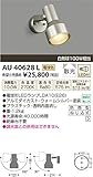 コイズミ アウトドアLEDスポットライト AU40628L