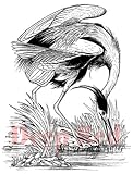 Deep Red Stamps Great Blue Heron Rubber Stamp [並行輸入品]