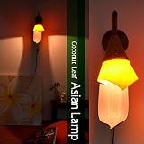 MANJA LAM-0337-OR アジアン照明 ココナッツリーフ 壁掛け アジアンランプ 1 (オレンジ) LED対応 【間接照明 壁掛け照明 ブラケットライト アジアンテイスト アジアン雑貨】