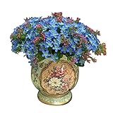 braceus 1 x Bouquet of Forget Me Not、人工小さな花シルク花パーティーブライダルブーケホーム装飾72ヘッド V143742TJ5K15256