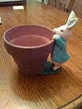 Beatrix Potter Peter Rabbit Flower Pot 2000 Teleflora FW & Co [並行輸入品]