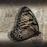ito