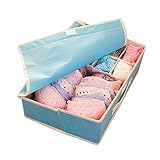 yougheny 収納ケース 収納ボックス 15仕切り 衣類・肌着・下着・小物・靴下整理ケース 可愛い 便利 コンパクト ファスナー仕様 ブルー