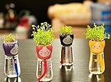 amzmonnsuta DIYミニドールテール吸水鉢植え植物デスクトップオフィスインテリア