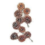 大地農園 ドライフラワー 松カサ ステム付 小 (10コ入り) DO024191-000