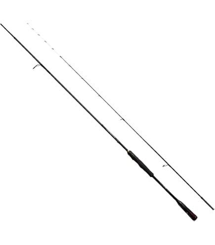 Amazon | シマノ(SHIMANO) 船竿 炎月XR 一つテンヤマダイ 245M/MH+ Amazon | シマノ(SHIMANO) 船竿 炎月XR 一つテンヤマダイ 245M/MH+