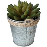 フェイクプランツ 多肉植物 バケツA DECOR IMITATION BLIKI L