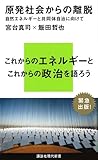 原発社会からの離脱――自然エネルギーと共同体自治にむけて (講談社現代新書)