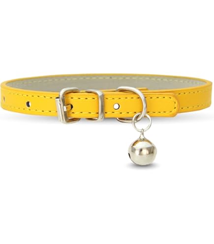 Amazon | (ルイヴィトン)LOUIS VUITTON M58070/M58055 コリエ