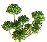 meiliy 6ヘッド人工ビニールSucculentホームホテルオフィスウェディングパーティーガーデンクラフトアート装飾、2 Bunches グリーン No Model