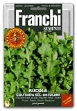 【FRANCHI社種子】【115/3】ルッコラ・COLTIVATA SEL. ORTOLANI
