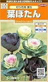 サカタのタネ 実咲花7921 葉ぼたん 切り花用混合 00907921