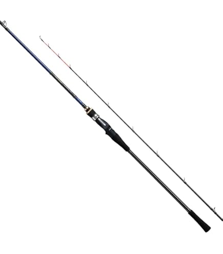 Amazon | ダイワ(DAIWA) 船竿 アナリスター 加太 食わせ 240 釣り竿