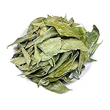 神戸スパイス カレーリーフ 20g Curry Leaf カリーパッタ Patta スパイス