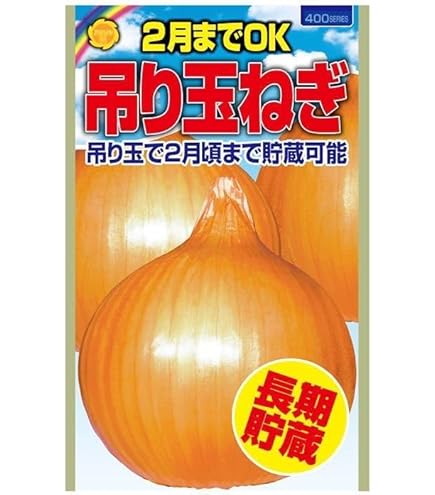 ネオアース2000本 ネオアース タマネギ ｜ 品種カタログ ｜ タキイの野菜【タキイ
