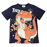 LZE子供服　男の子　Ｔシャツ　可愛い 恐竜 漫画 　プリントトップTシャツ夏 ファッション　おしゃれ 通園 　旅行 お出かけ