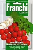西洋野菜の種　ラディッシュ　ラピッドレッド　イタリア　FRANCHI社