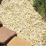 小さな砂利 ミモザ 黄色 玉砂利 大理石 約9mm 330kg