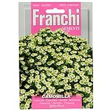 野菜の種 カモミール D18/1