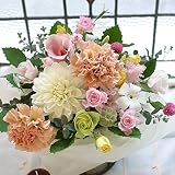 フラワー【 アレンジメント　記念日　誕生日　フラワーギフト　生花　新築祝い　開店祝い　カラフル ha 】