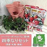 いちご栽培セット（ハーベリーポット）といちご苗9株・四季なりセット（夏姫・紅茜・桃娘） ノーブランド品