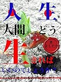 人生人間としてどう生きればいいのでしょうか？