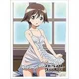 カーテン魂 第501統合戦闘航空団ストライクウィッチーズ ROAD to BERLIN スリーブ 宮藤芳佳 スタンダードサイズ W67×H92mm 1セット 65枚入り PP製