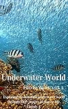 Underwater World Photo Book Vol.2: Exploring the beautiful underwater world through 100+ images of marine life. (English Edition)
