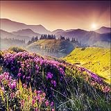 Sproud 大規模なカスタムの壁紙高解像度の美しい山花海 Tv 背景 Papel De Parede Para Estar Sala 150 Cmx 105 Cm