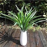 Kicode 楽しい緑人工 蘭の葉 シンビジウムグラス 生き物の植物 DIYのホームデコレーション