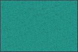 日本製 クリーンテックス・ジャパン(Kleen-Tex) 万能玄関マット スタンダードマットS ジェイド・グリーン 90×120cm AM00064