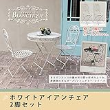 ブランティーク　アイアンチェア　2脚セット 送料無料　ガーデンテーブル　テラス　庭　ウッドデ/ダークブラウン